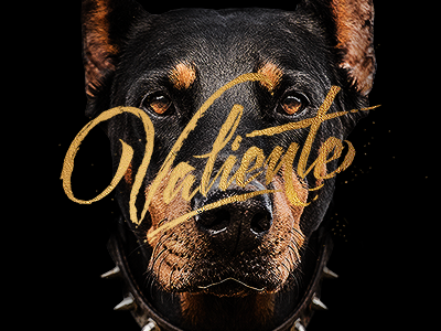 Valiente brush doberman dog eyes lettering retouch shape shine