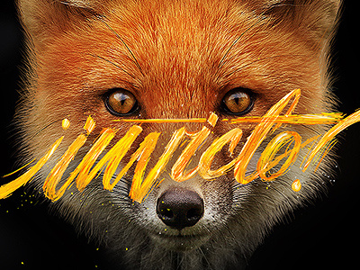 Invicto Dribble brush fox invict lettering retouch