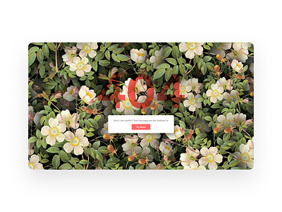 Daily UI — 404 404 page back form concept daily ui error flowers plants ui web