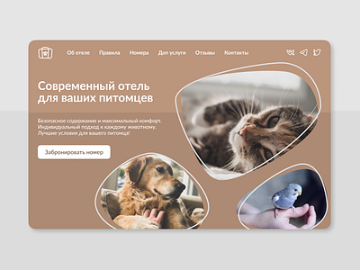 Landing Page branding landing landing page logo pets ui uiux website