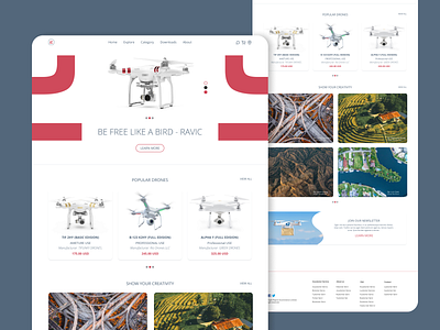 Drone Selling Website beautiful design illustration minimal ui ux ziik