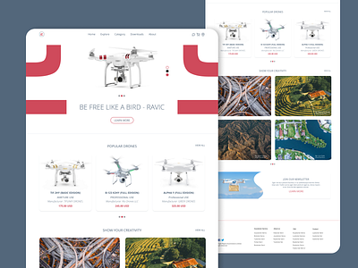 Drone Selling Website