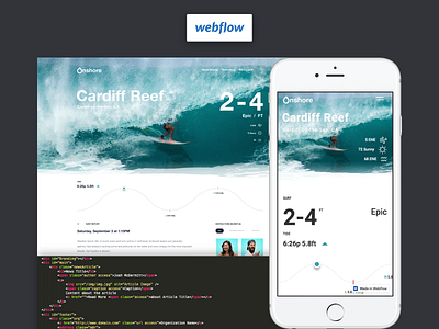 Dann Petty + XD + Webflow = 🤙 🏄🏻