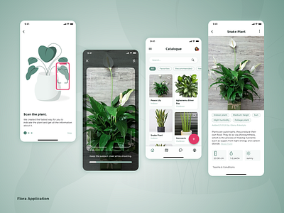 Hello Dribbble! app dashboard design green illustration mobile plant scan ui ux