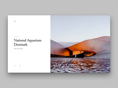 Layout 4.2 | Case Study Landing aquarium architectural article article page denmark design landing minimal national aquarium denmark photoshop ui unsplash ux website