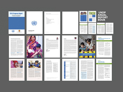 UNDP Anual Project Report Book