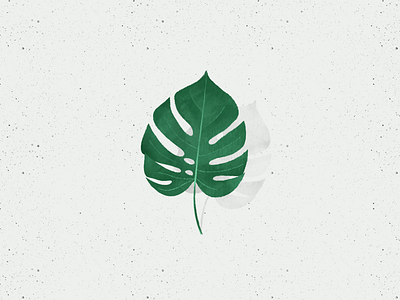 Monstera Leaf