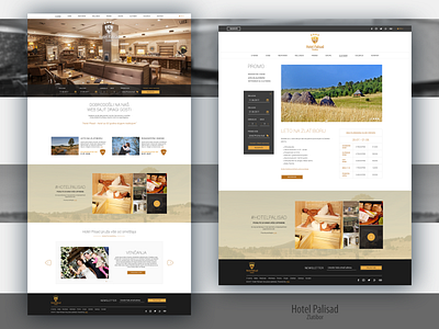 Home and Promo page for Hotel Palisad Zlatibor booking booking form branding deal design flat homepage hotel palisad promo reserve roboto special teget travel website zlatibor