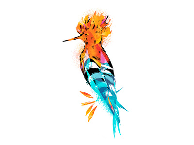 Hoopoe Bird Illustration For Local Wine Producer