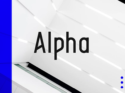 Alpha Typeface - 4 styles