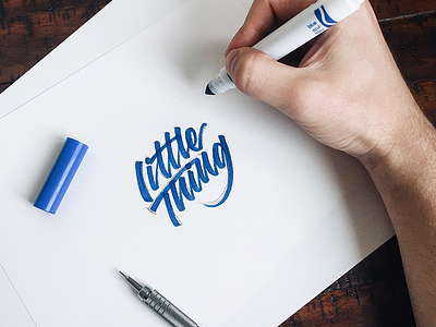Little Thing brushpen brushtype crayola hand lettering handmade lettering logotype script sketch tombow type typography