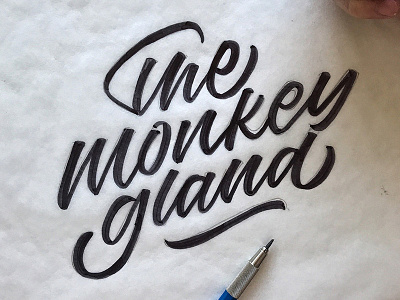The Monkey Gland brush script brushpen calligraphy custom type hand lettering hand made type lettering script type typography