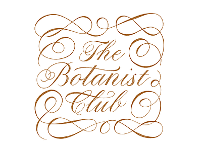 The Botanist Club Flourishing calligraphy custom type hand lettering hand made type lettering script type typography