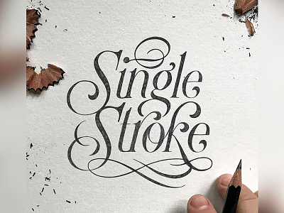 Single Stroke calligraphy custom type hand lettering lettering script type typography