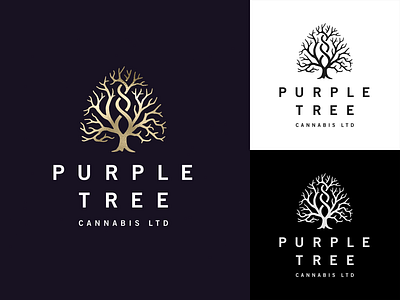 Purple Tree branding branding and identity cannabis cannabis branding identity illustration logo logotype vector weed