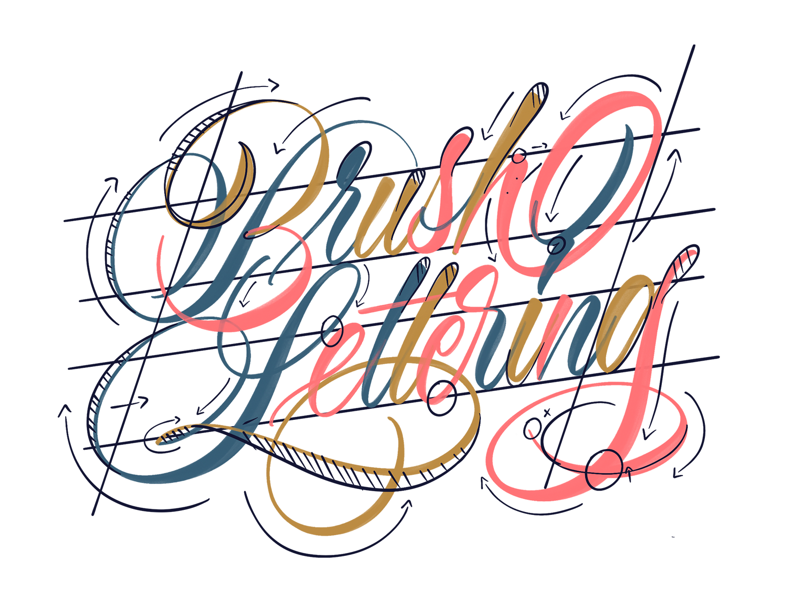 brush-lettering-workshop-seattle-dec-14th-by-michael-moodie-on-dribbble