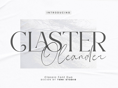 Claster Oleander || Font duo branding font display serif font invitation ligature font