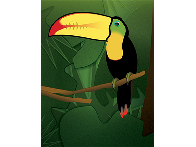 Toucan & Gradients Exercise adobe illustrator bird illustration nature toucan