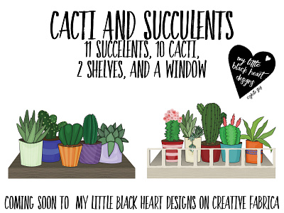 Cacti and succulents botanical branding cacti cactus design designer resources floral illustrator illustrator art logo nature plants shelves succulent succulents vectorart