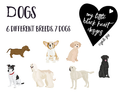 Cute dogs afghan animals corgi dachshund design designs dog breeds dogs illustration illustrations illustrator art jack russell labrador poodle resources