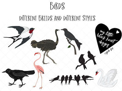 Birds Set birds birds on a branch crow designer resources drongo emu flamingo illustration illustrations illustrator art lovebirds swallow swan