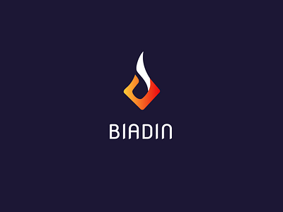 Biadin logo branding graphic design logo