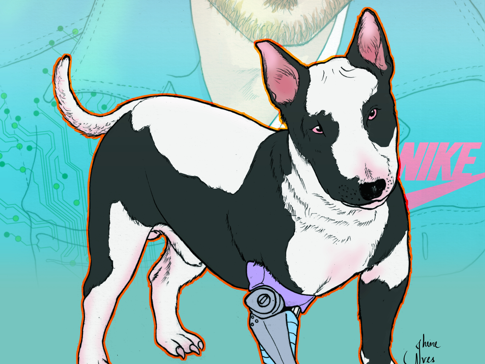 Bull Terrier by Jheine Alves on Dribbble