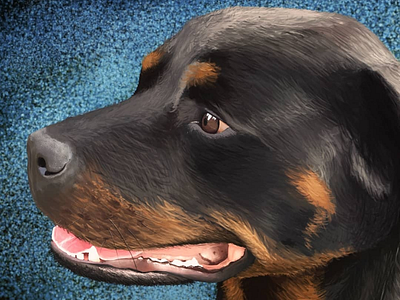 Rottweiler Illustration dog illustration painting art