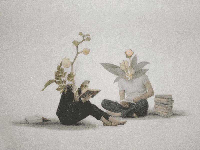 Reading animated gif collage couple flower flowers nature reading surrealistic