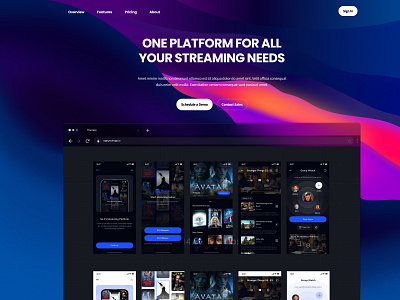 Online Streaming Platform animation branding graphic design ui