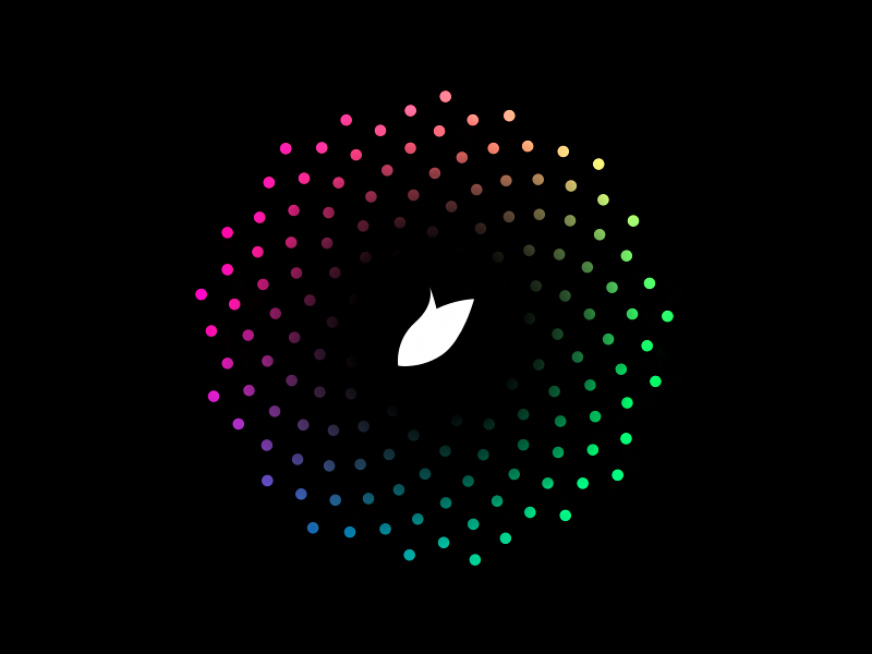 Pijp Design buron rainbow chromatic golden nature spire colors dots pijp logo
