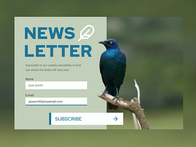 Daily UI: Subscribe