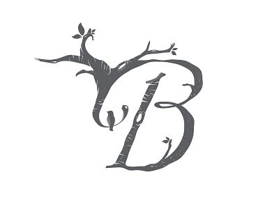 Birch Tree Typography Project b birch tree font illustration lettering trees type typography