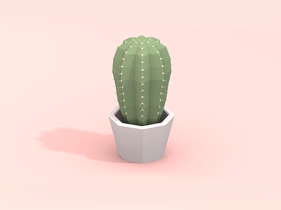 Cactus 3d blender cactus illustration low poly minimalistic plant