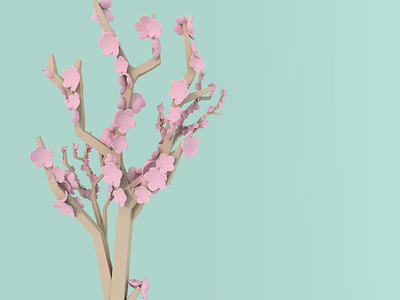 Blossom season 3d blender blossom cherry tree low poly sakura tree