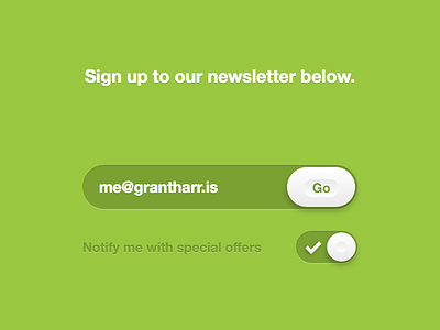 Newsletter Form experience form input interface ndc2014 toggle ui user ux