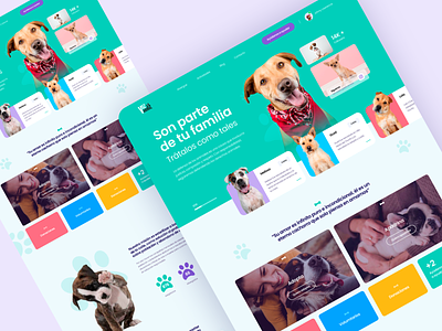 Voz Animal Pet Adoption Desktop UI adoption animal app branding cat design dog happy landing perro pet pet adoption photo puppies smile ui ux web website