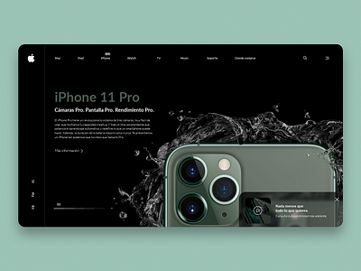 iPhone 11 Pro