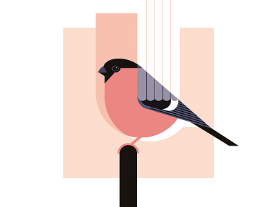 Bullfinch bird illustration birds bullfinch design geometric graphic style illustration illustrator vector vector illustration