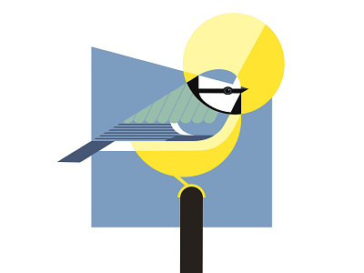 Blue tit bird bird illustration blue tit design garden birds geometric illustration illustrator shapes vector vector illustration