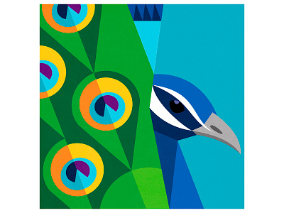 Peacock bird birds design geometric illustration illustrator peacock vector illustration