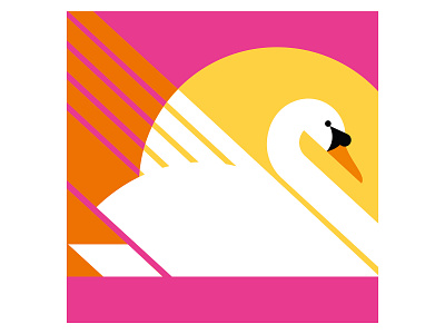 Swan bird birds colour design geometric illustration illustrator swan vector vector illustration