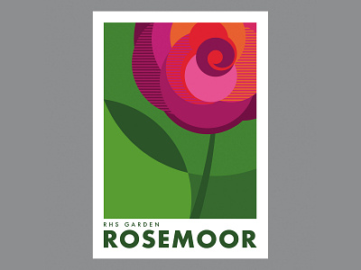 Rosemoor bold botanical botanical gardens circles design floral flower illustration illustrator pattern poster poster art poster design rose roses shapes vector vector illustration