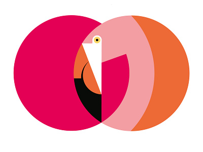Flamingo bird circles design flamingo flat geometric illustration illustrator shapes vector vector illustration