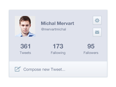 Twitter Profile interface profile twitter ui user