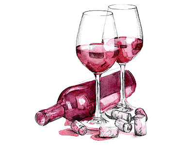 Wine illustration pencil watercolor