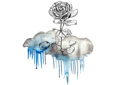 The Storm clouds editorial illustration ink rose storm watercolor