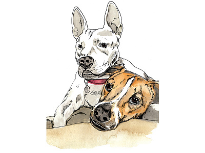 Pups On Pups illustration pet portrait watercolor