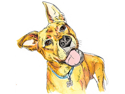 Pup 2 dog illustration pet portrait watercolor