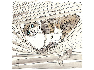 Peeping Cat cat illustration pet portrait watercolor